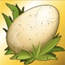 Egg Symbol