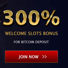24VIP Casino Bitcoin Welcome Bonus